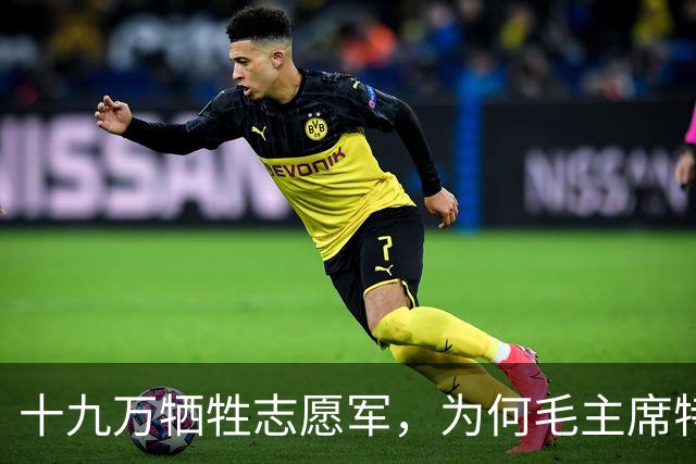 十九万牺牲志愿军，为何毛主席特意下令：不惜代价抢回七零一遗体