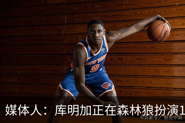 媒体人：库明加正在森林狼扮演1个更适合他的角色 康纳利真能淘啊
