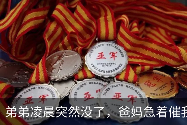 弟弟凌晨突然没了，爸妈急着催我坐车回去，我刚掏出车票，手机跳出一条匿名短信：别急，晚点看大戏