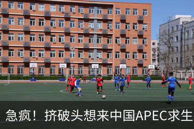 急疯！挤破头想来中国APEC求生，因国内清算打响，高市或锒铛入狱
