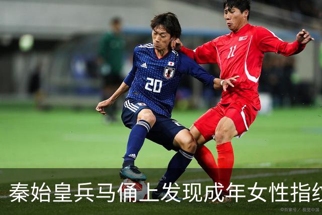 秦始皇兵马俑上发现成年女性指纹和15岁以下少年指纹，学界首次以量化的生物学证据表明，除成年男性外，女性与少年可能也参与了秦俑制作