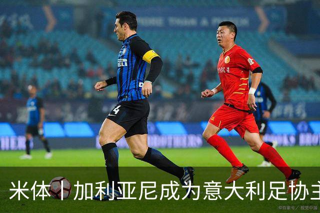 米体丨加利亚尼成为意大利足协主席热门人选