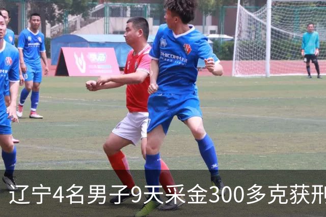 辽宁4名男子9天采金300多克获刑，村里砂土为何能淘金？土法筛金对人体和环境有何危害？